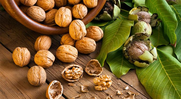 Орехи при язве желудка: польза и возможный вред, в каком виде лучше есть